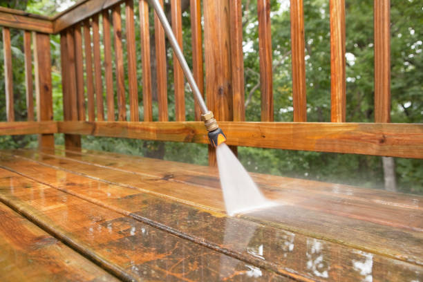 Professional Pressure Washing Services in East Highland Park, VA